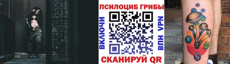 Галлюциногенные грибы Psilocybe  Северобайкальск 